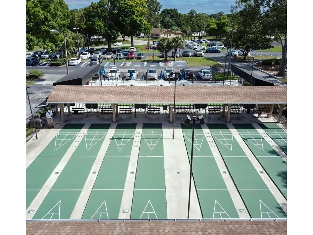 1012 Dunrobin Drive #D Palm Harbor FL 34684 TB8429536 image60