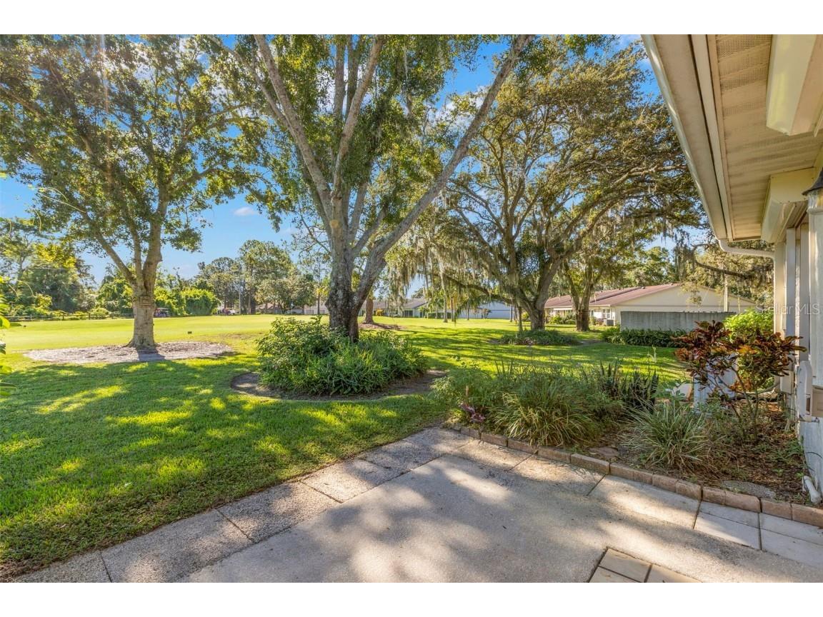 1012 Dunrobin Drive #D Palm Harbor FL 34684 TB8429536 image8