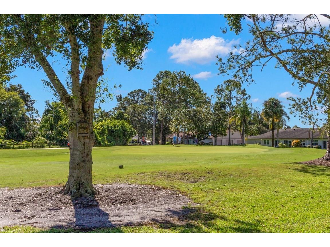 1012 Dunrobin Drive #D Palm Harbor FL 34684 TB8429536 image9