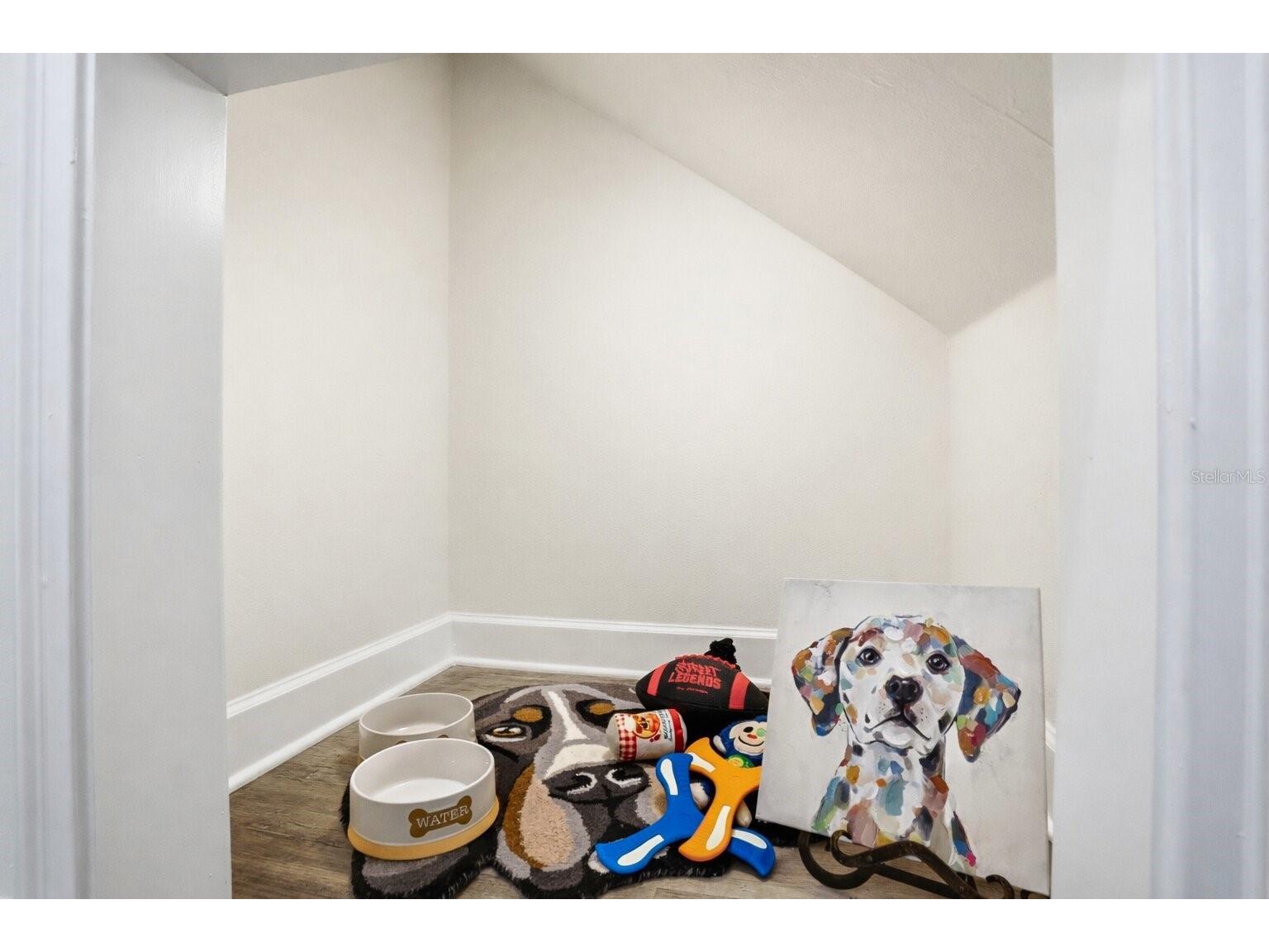 1012 Farmstead Street Eustis FL 32736 S5144570 image11