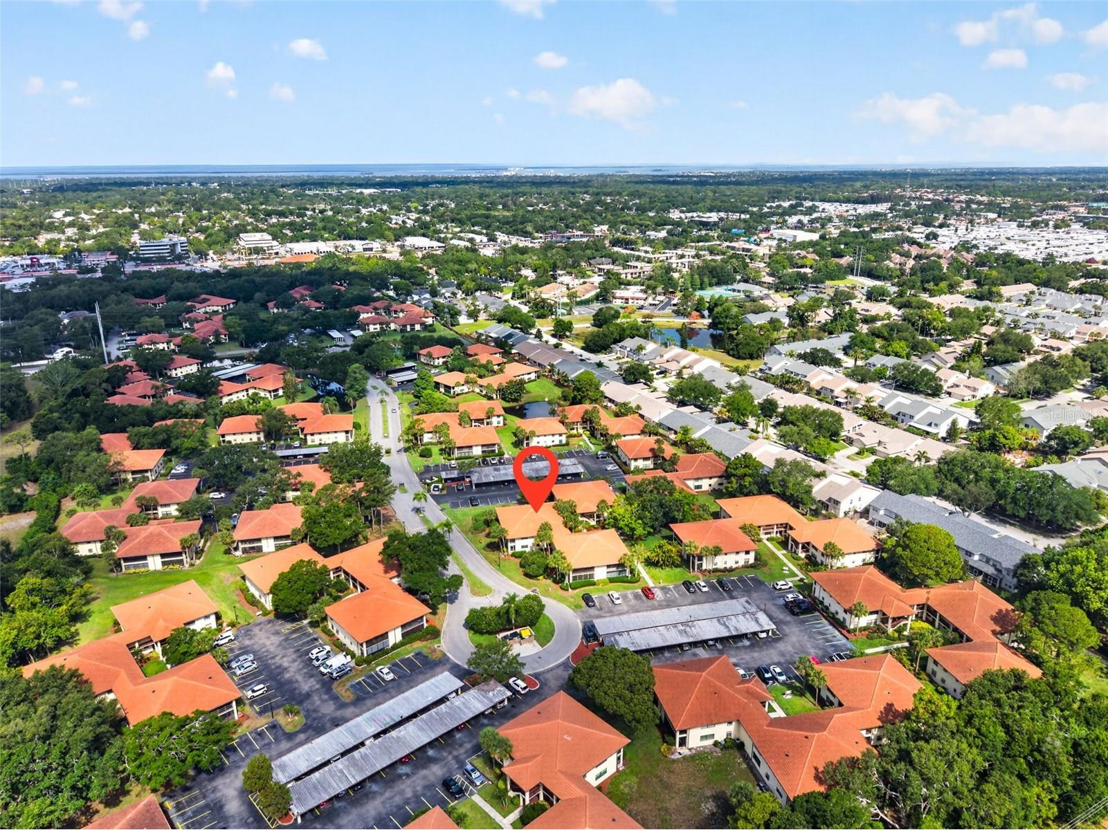 1012 Hammock Pine Boulevard #1012 Clearwater FL 33761 TB8509148 image19