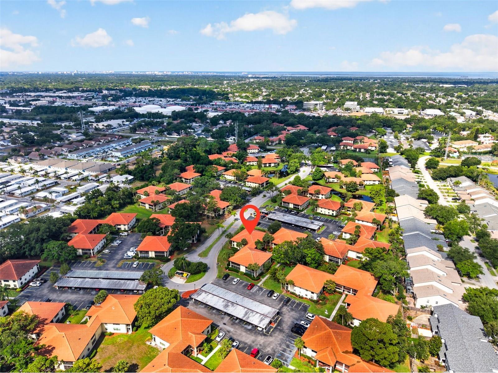 1012 Hammock Pine Boulevard #1012 Clearwater FL 33761 TB8509148 image22