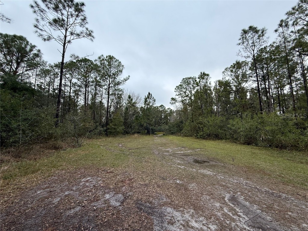 1012 Indian Lake Drive #7 Indian Lake Estates FL 33855 - LAKE WEOHYAKAPKA O6241846 image1