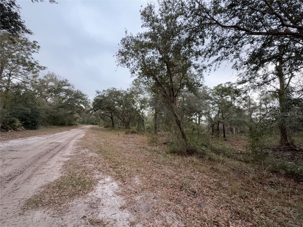 1012 Indian Lake Drive #7 Indian Lake Estates FL 33855 - LAKE WEOHYAKAPKA O6241846 image2