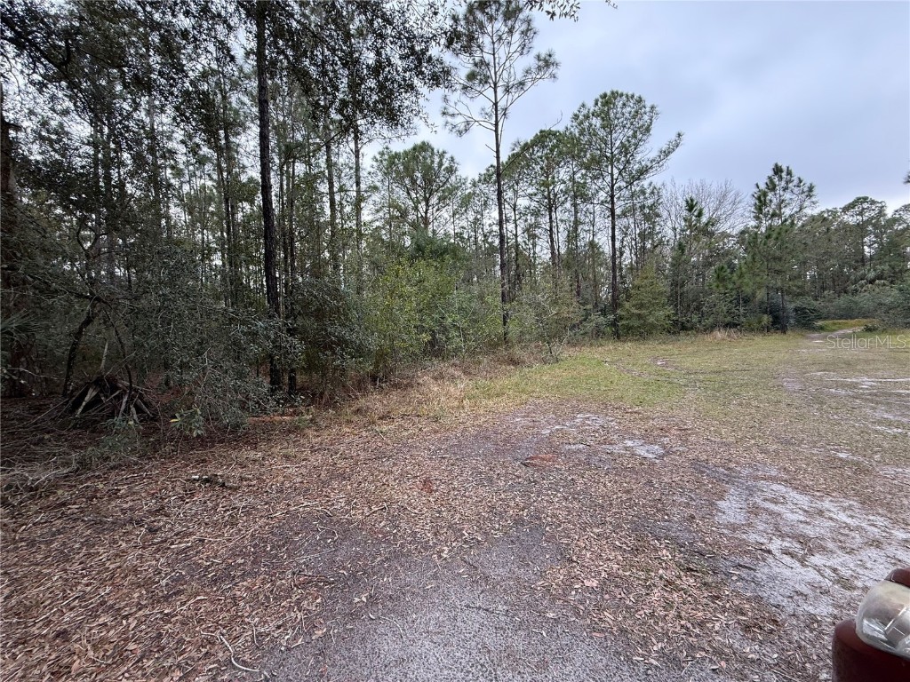 1012 Indian Lake Drive #7 Indian Lake Estates FL 33855 - LAKE WEOHYAKAPKA O6241846 image3