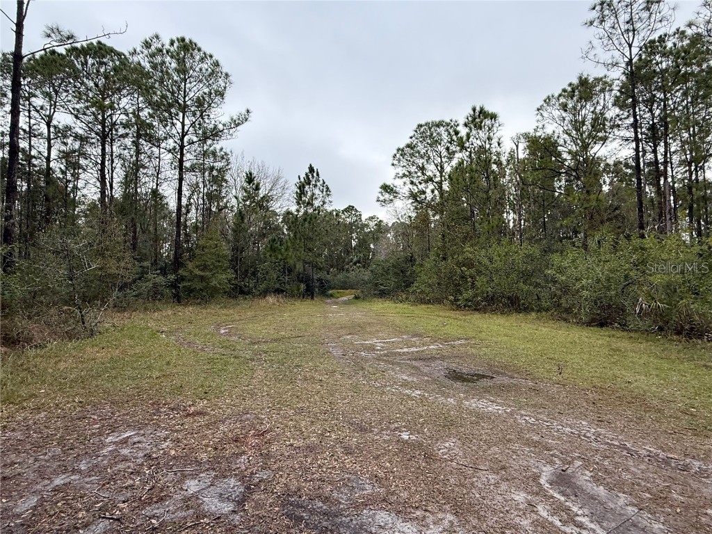 1012 Indian Lake Drive #7 Indian Lake Estates FL 33855 - LAKE WEOHYAKAPKA O6241846 image4
