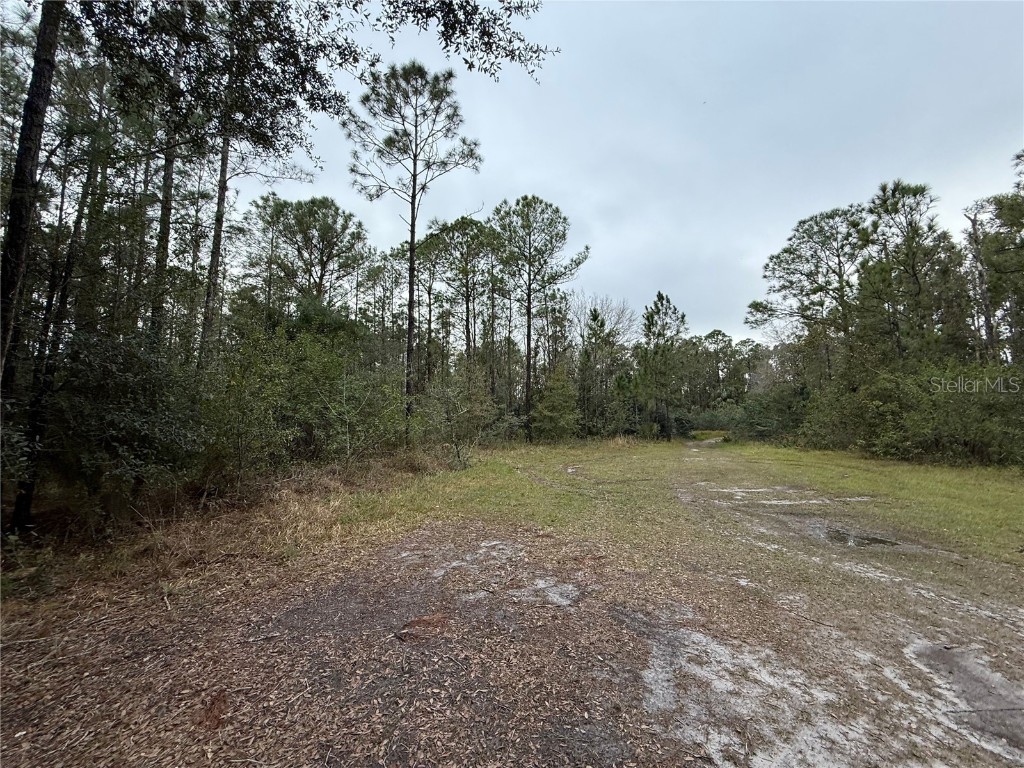 1012 Indian Lake Drive #7 Indian Lake Estates FL 33855 - LAKE WEOHYAKAPKA O6241846 image6