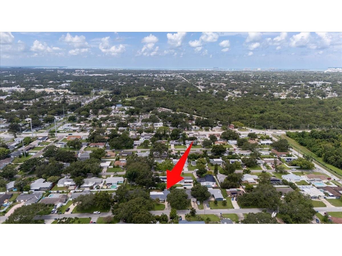 1012 Irene Avenue Largo FL 33771 TB8416724 image77