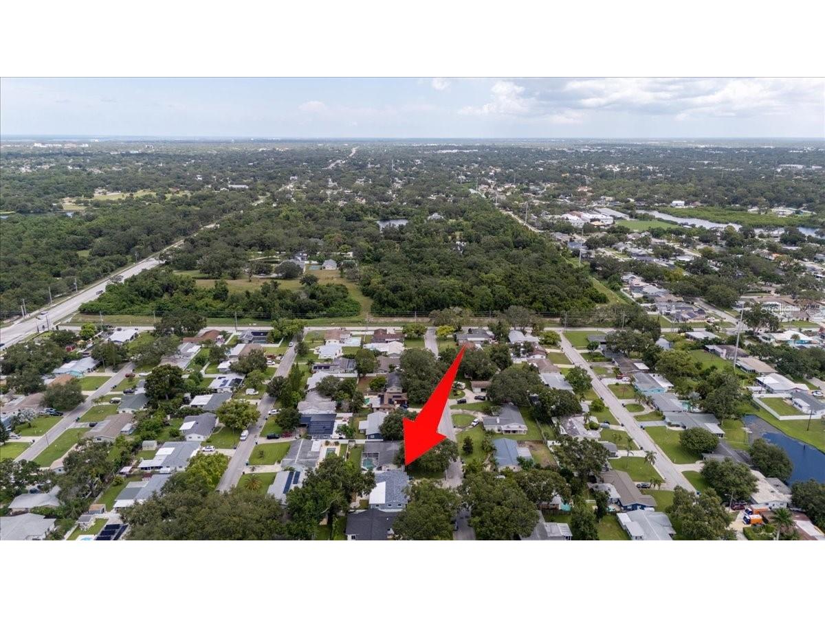 1012 Irene Avenue Largo FL 33771 TB8416724 image78