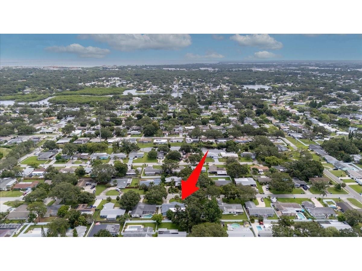 1012 Irene Avenue Largo FL 33771 TB8416724 image79