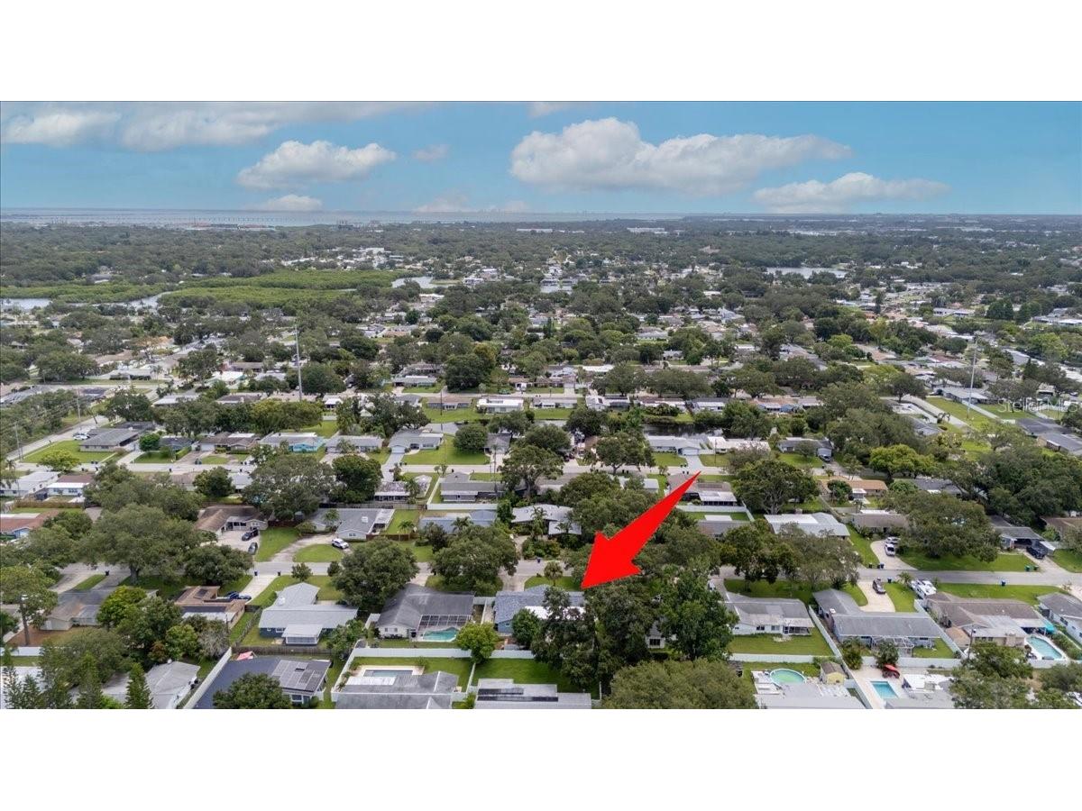 1012 Irene Avenue Largo FL 33771 TB8416724 image80