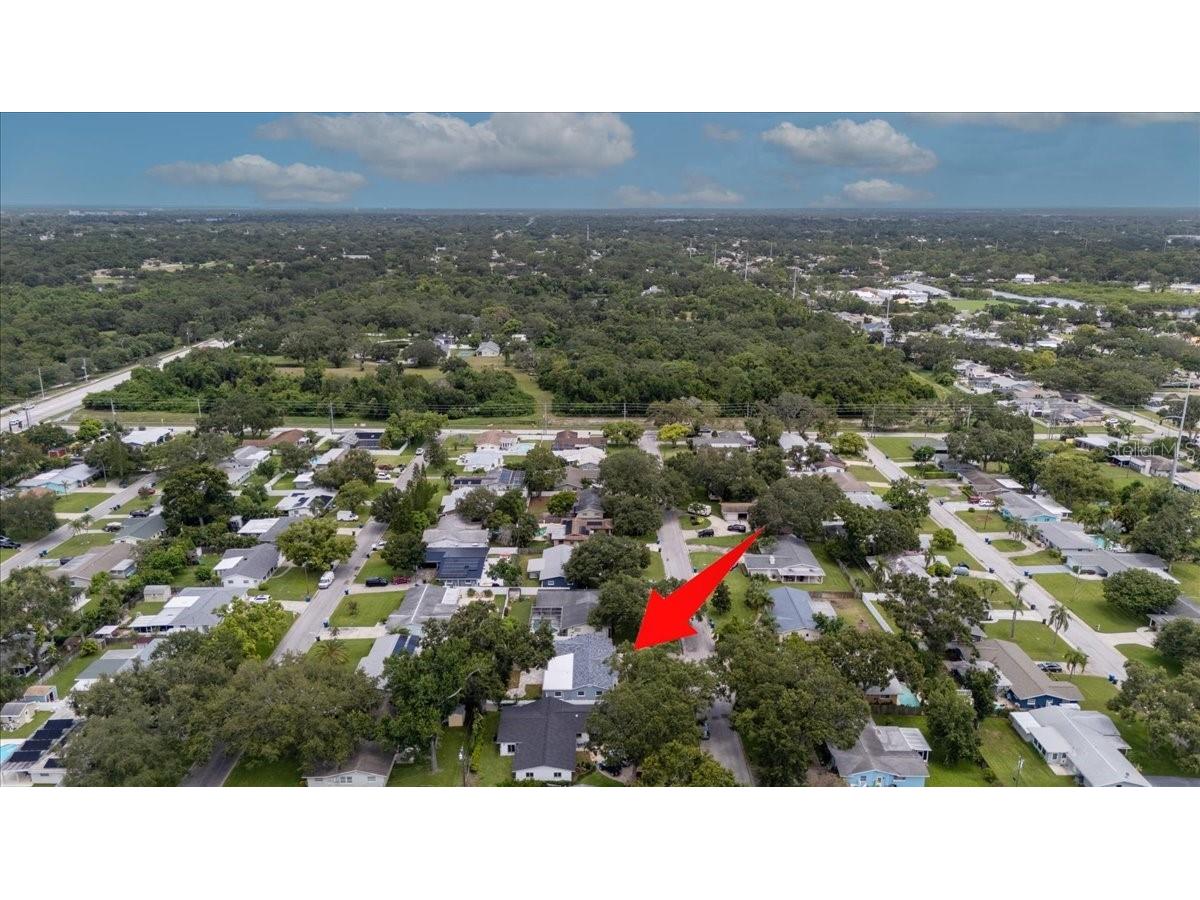 1012 Irene Avenue Largo FL 33771 TB8416724 image83