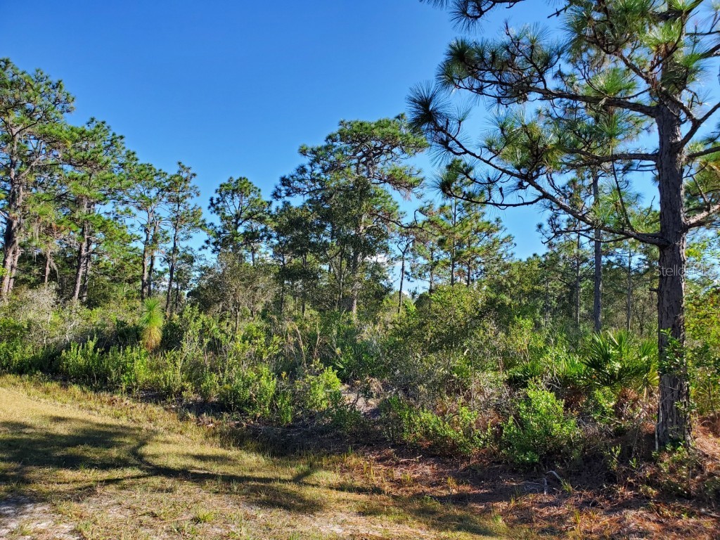 1012 Japonica Drive, Indian Lake Estates, FL, 33855 MLS O6001881 Edina Realty