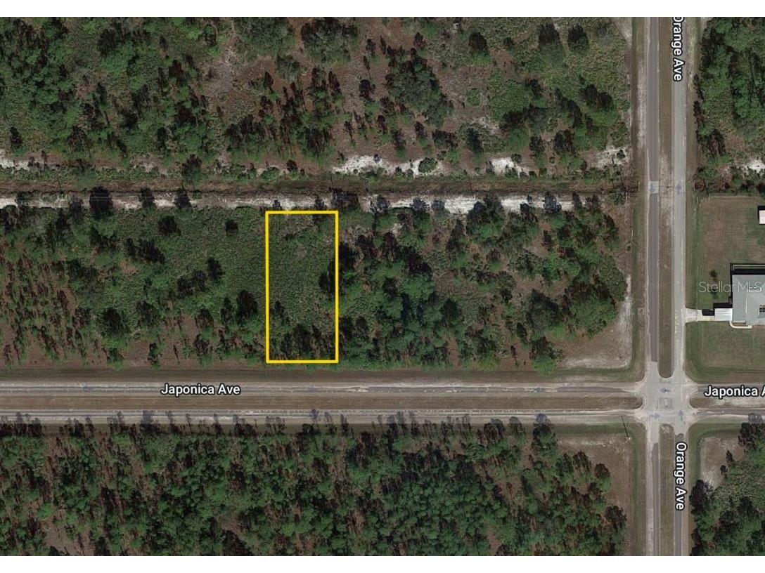 1012 Japonica Drive Indian Lake Estates FL 33855 - LAKE WALK IN WATER T3362435 image1