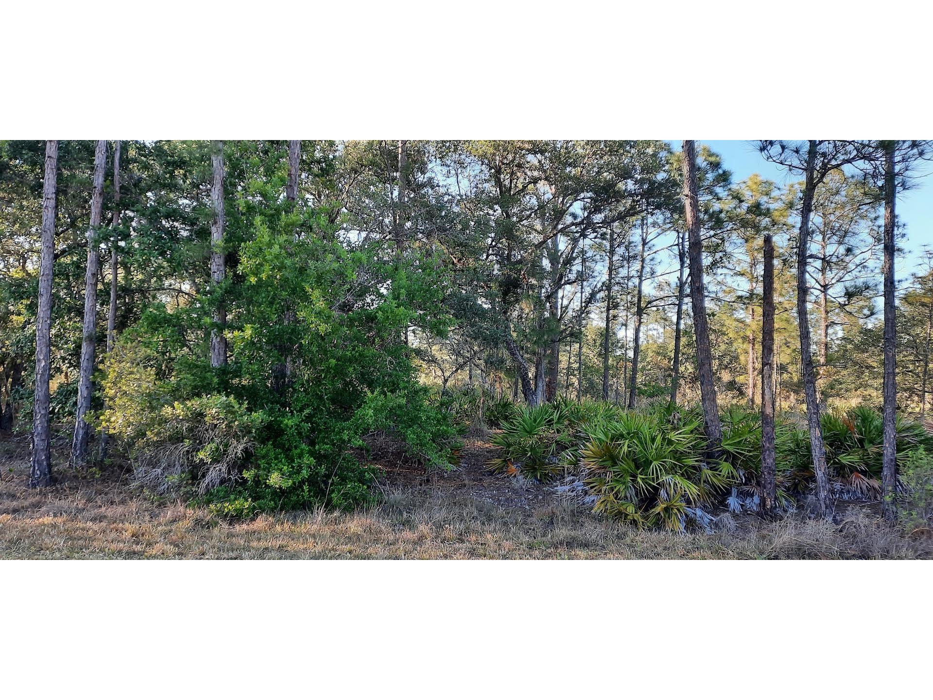 1012 Japonica Drive Indian Lake Estates FL 33855 - LAKE WALK-IN-WATER TB8374166 image1