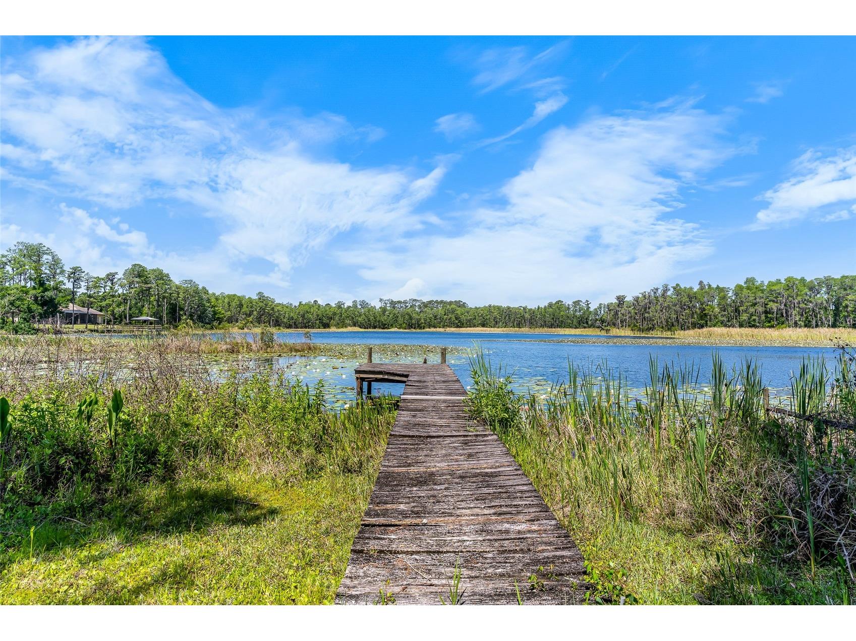 1012 Kingsborough Gardens Court Lutz FL 33548 - LAKE REINHEIMER TB8501775 image2