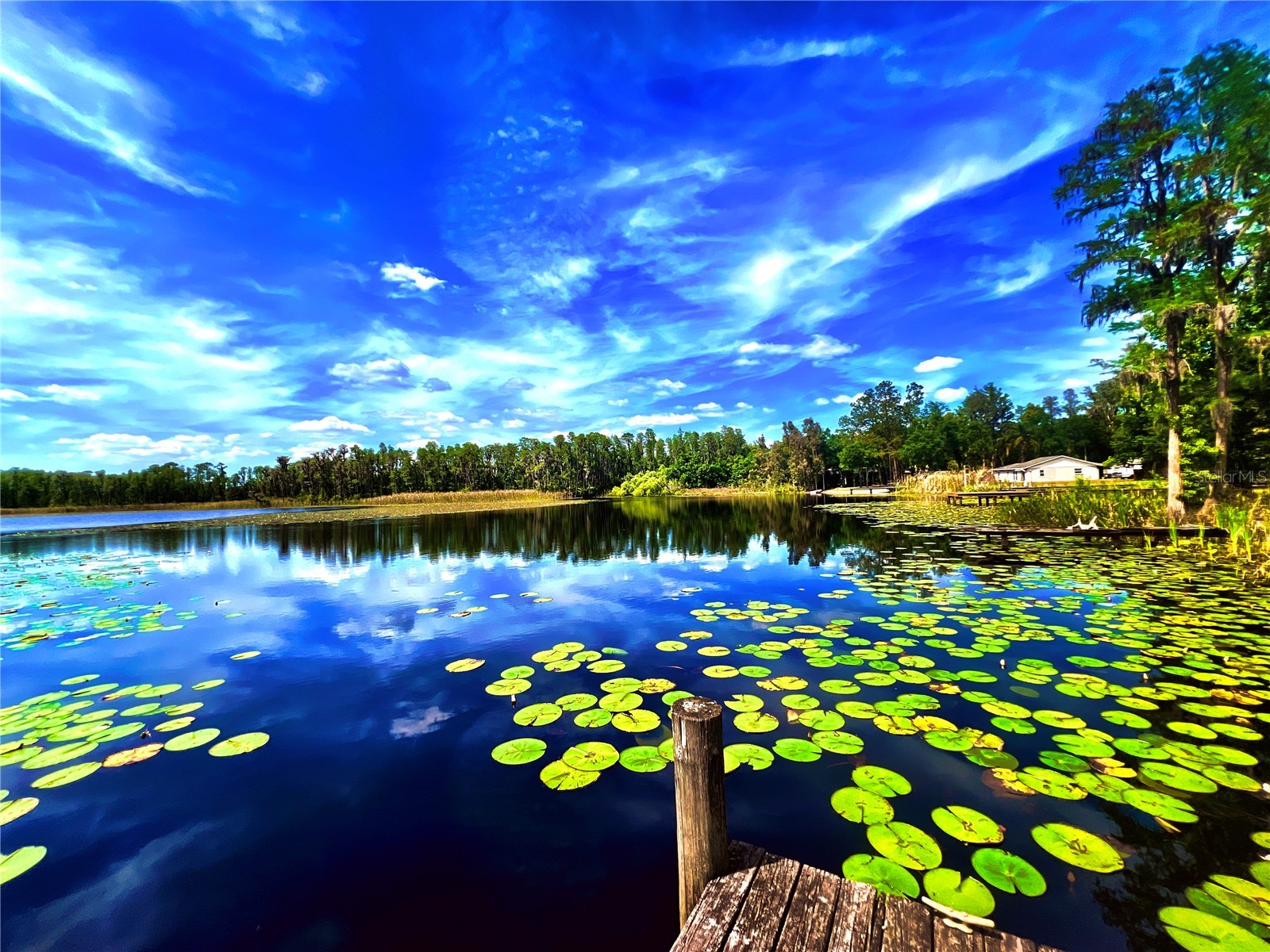 1012 Kingsborough Gardens Court Lutz FL 33548 - LAKE REINHEIMER TB8501775 image38