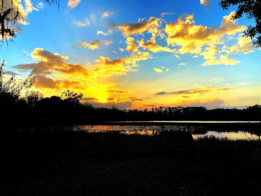 1012 Kingsborough Gardens Court Lutz FL 33548 - LAKE REINHEIMER TB8501775 image43