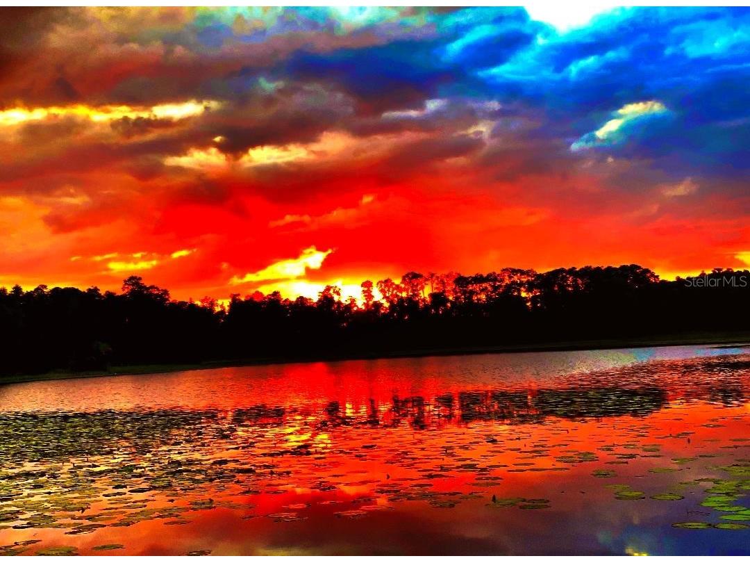 1012 Kingsborough Gardens Court Lutz FL 33548 - LAKE REINHEIMER TB8501775 image44