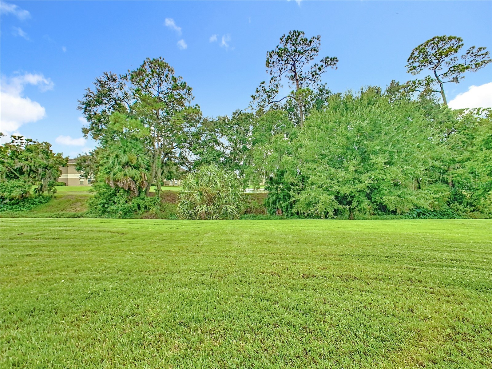 1012 Medinah Dr SE Winter Haven FL 33884 P4936101 image39