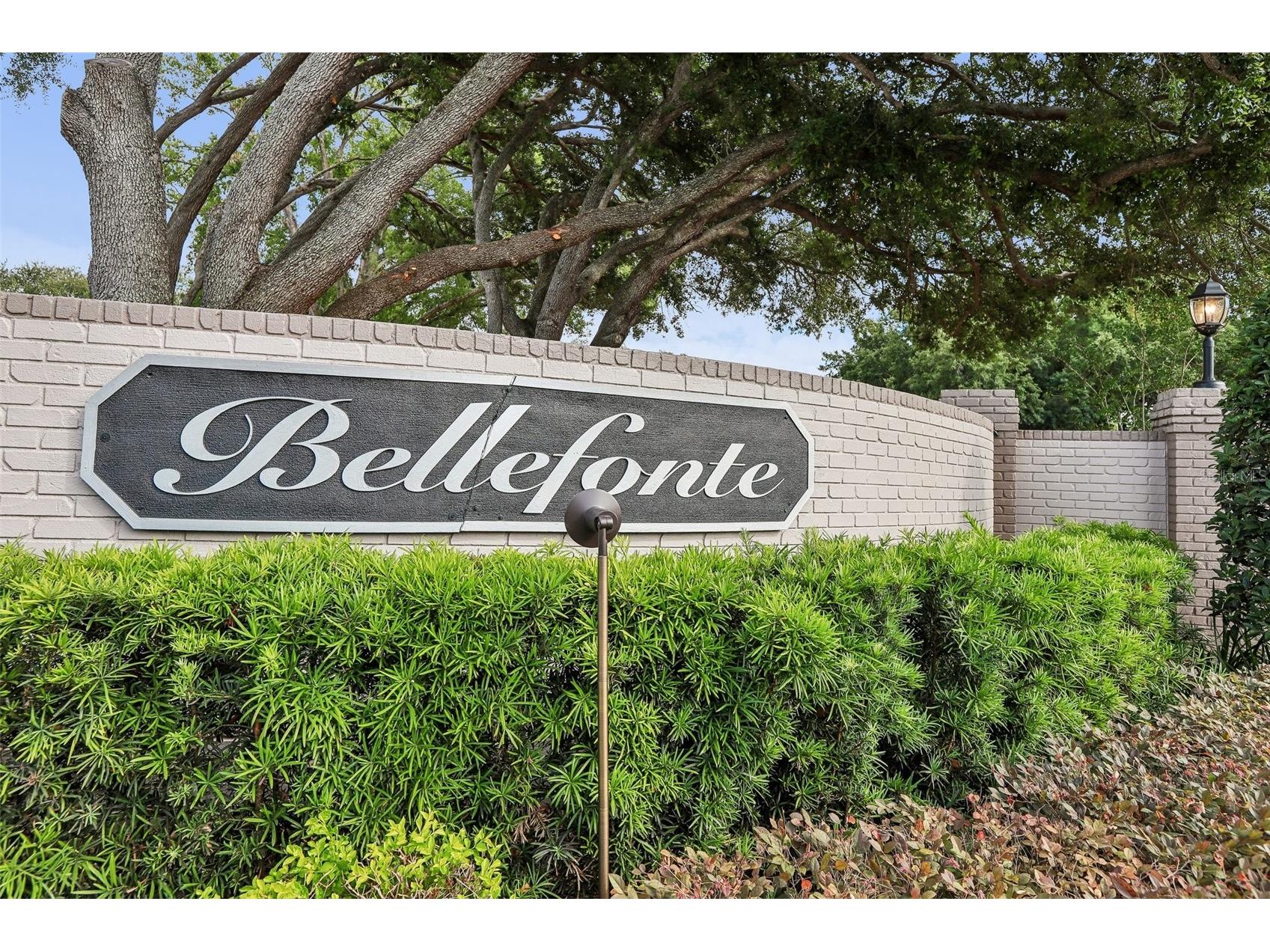 1012 Morfield Lane Brandon FL 33511 TB8510882 image3