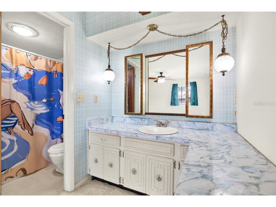 1012 N Taylor Road Brandon FL 33510 T3550119 image12