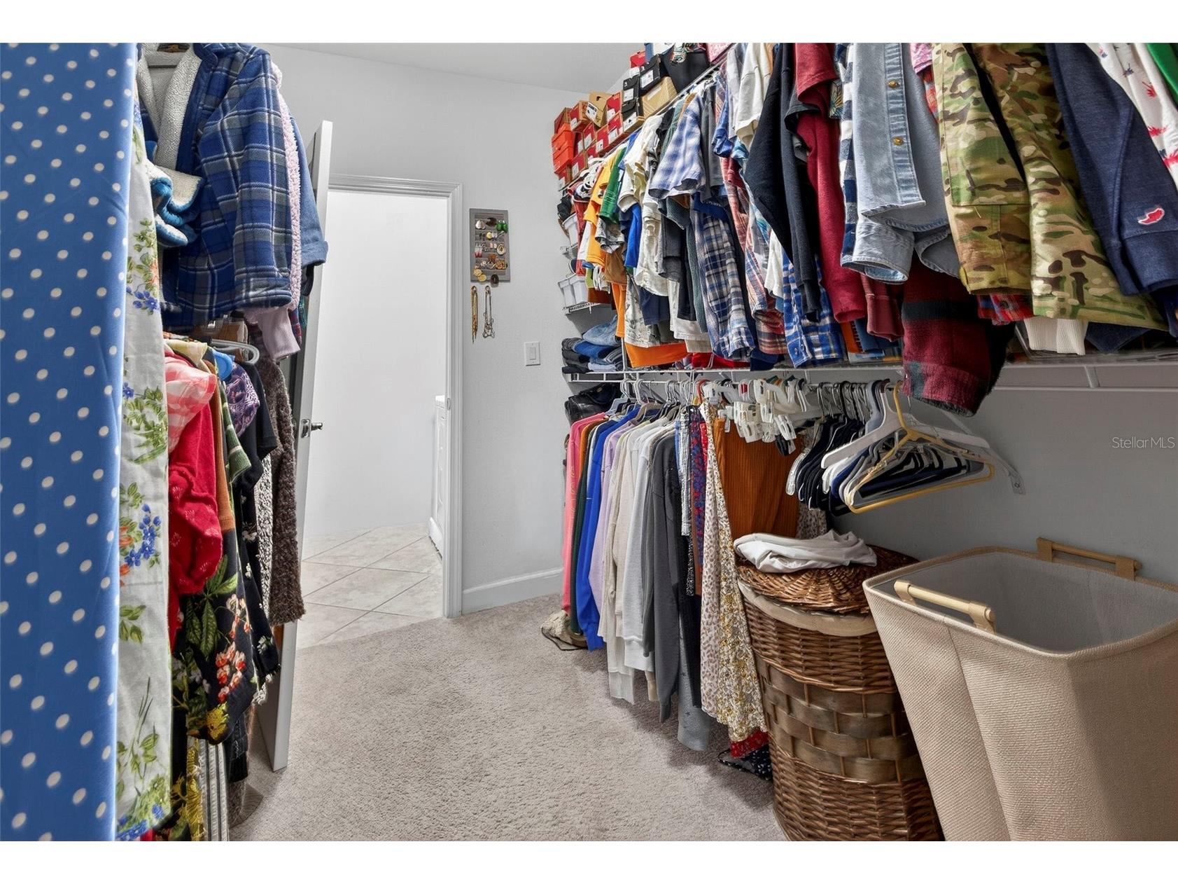 1012 Oliveto Verdi Court Brandon FL 33511 TB8488935 image15