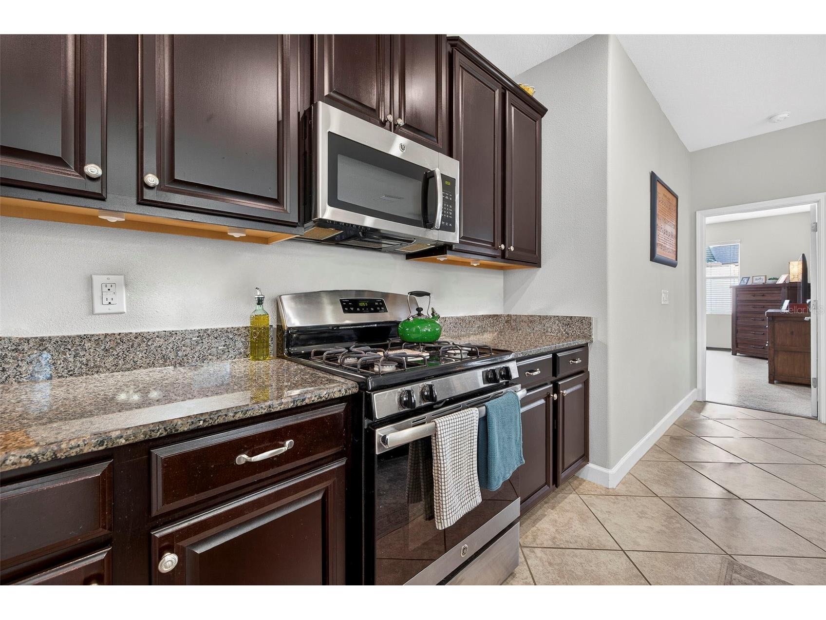 1012 Oliveto Verdi Court Brandon FL 33511 TB8515089 image6