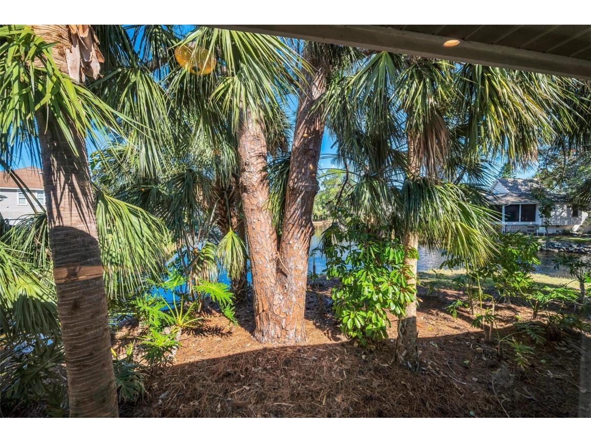 1012 Osprey Court Tarpon Springs FL 34689 - LAKE AVOCA A SALT WATER LAKE TB8454600 image18