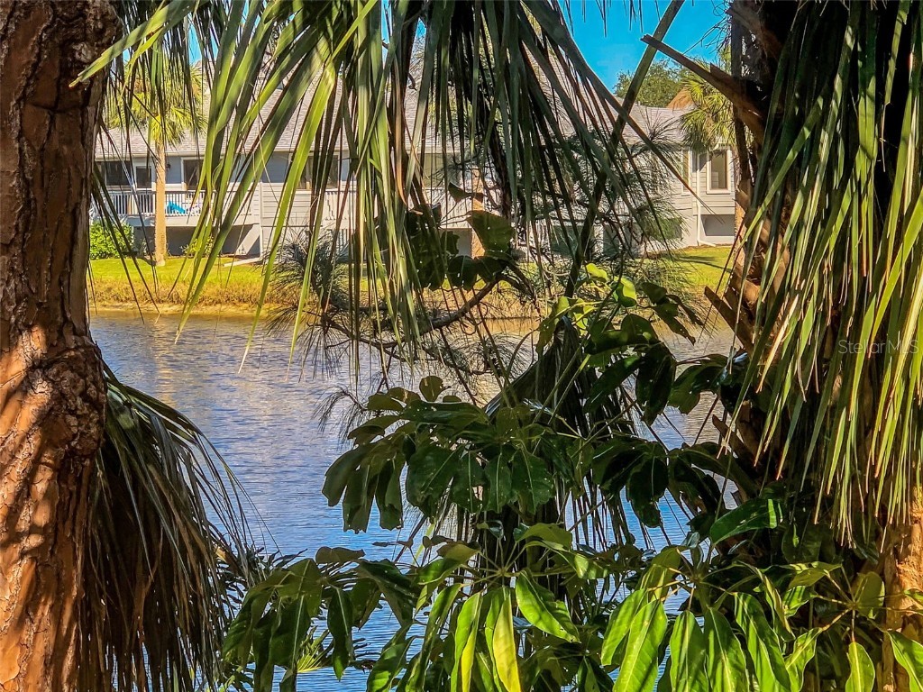 1012 Osprey Court Tarpon Springs FL 34689 - LAKE AVOCA A SALT WATER LAKE TB8454600 image26