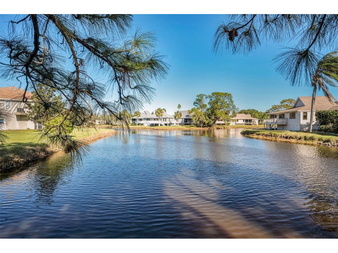 1012 Osprey Court Tarpon Springs FL 34689 - LAKE AVOCA A SALT WATER LAKE TB8454600 image27