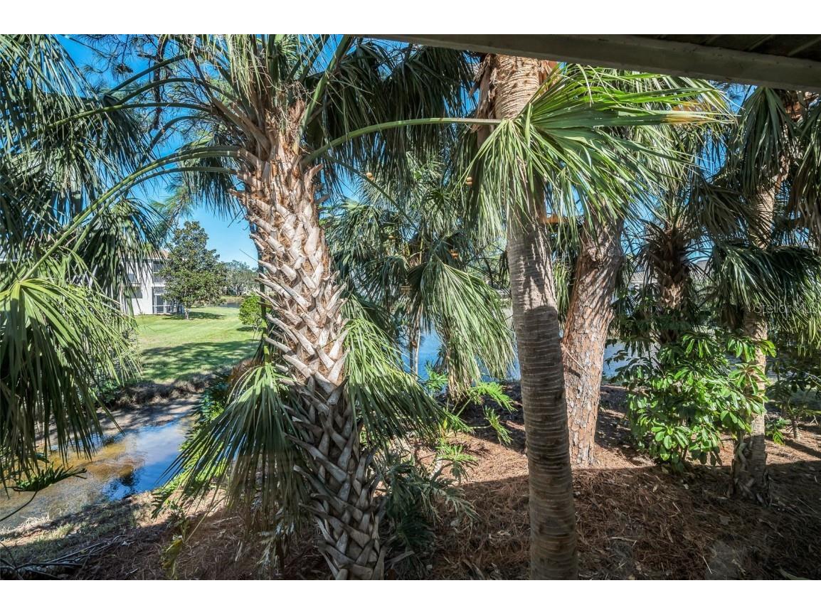 1012 Osprey Court Tarpon Springs FL 34689 - LAKE AVOCA A SALT WATER LAKE TB8454600 image28