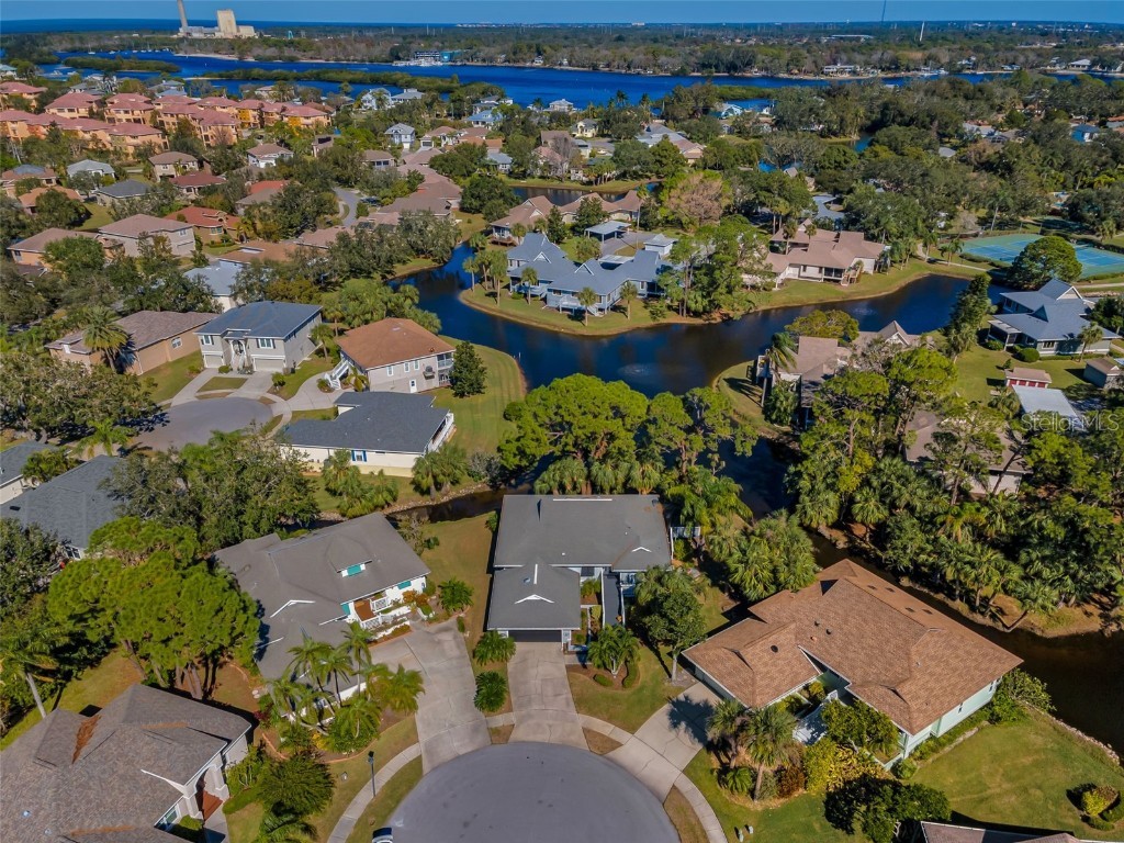1012 Osprey Court Tarpon Springs FL 34689 - LAKE AVOCA A SALT WATER LAKE TB8454600 image3