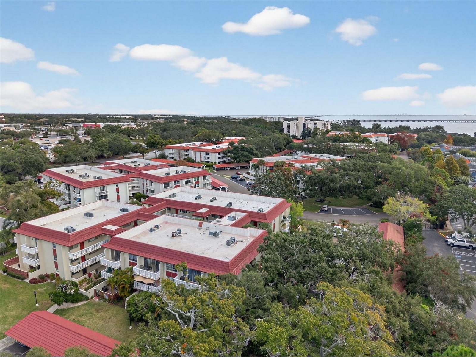 1012 Pearce Drive #110 Clearwater FL 33764 TB8456719 image45