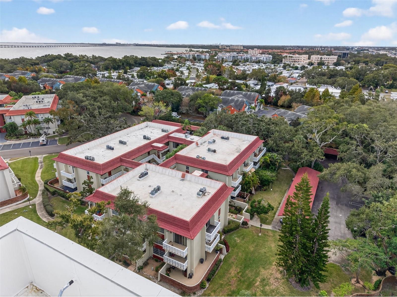 1012 Pearce Drive #110 Clearwater FL 33764 TB8456719 image47