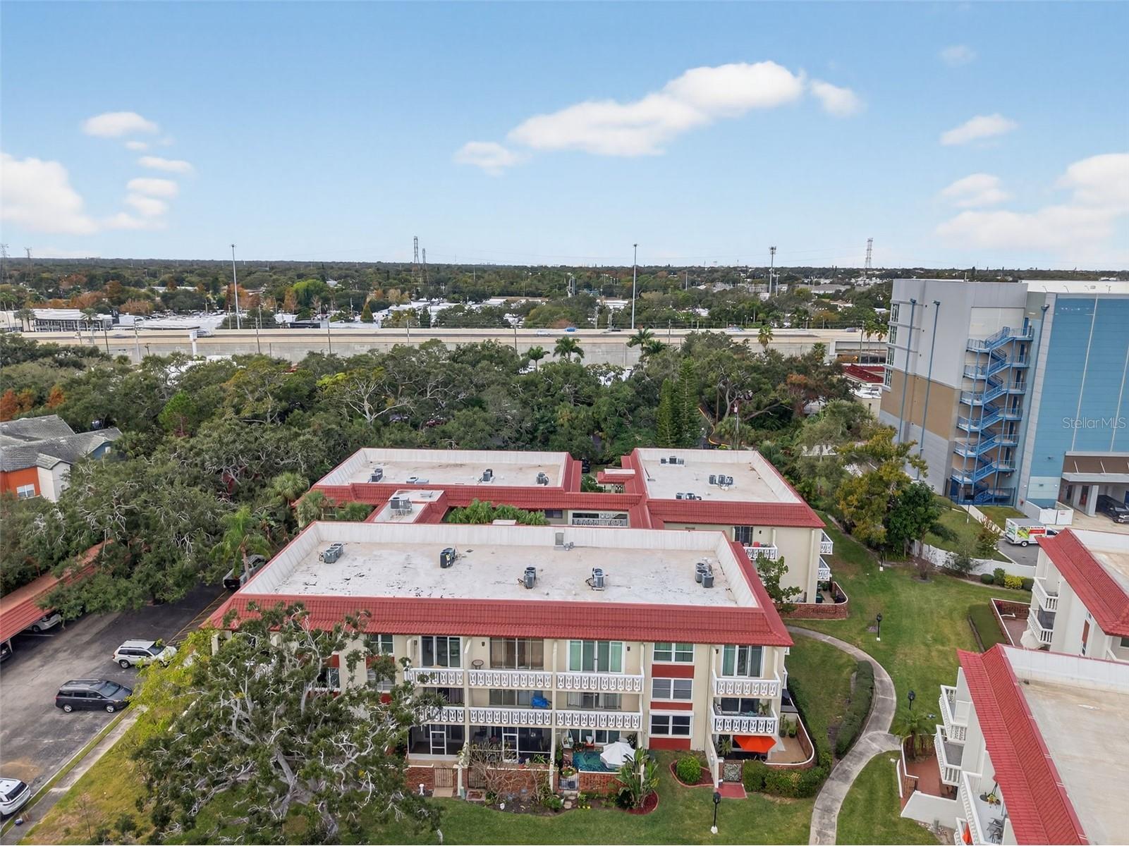 1012 Pearce Drive #110 Clearwater FL 33764 TB8456719 image48