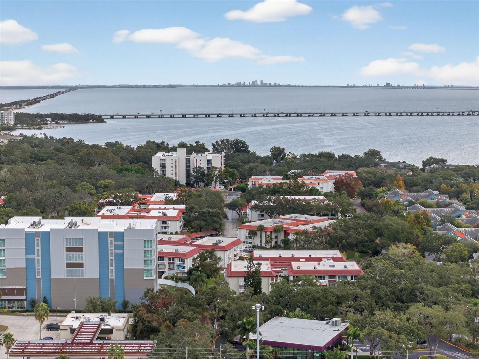 1012 Pearce Drive #110 Clearwater FL 33764 TB8456719 image49