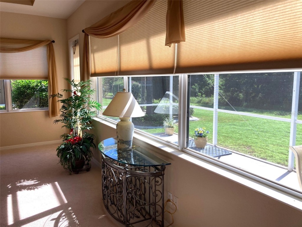 1012 Regal Manor Way Sun City Center FL 33573 TB8431168 image8