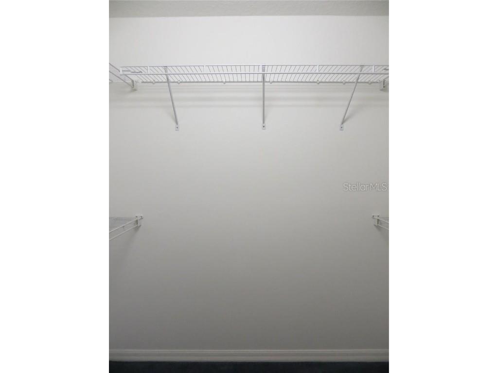 1012 Torreya Way Odessa FL 33556 TB8420171 image25