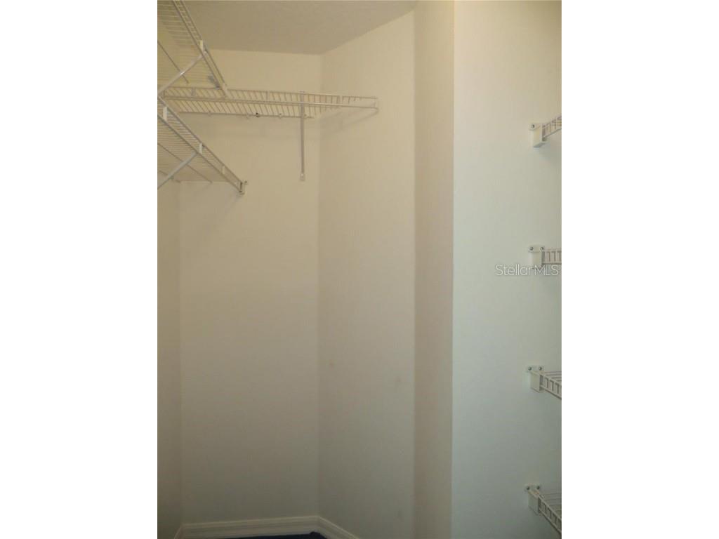 1012 Torreya Way Odessa FL 33556 TB8420171 image26