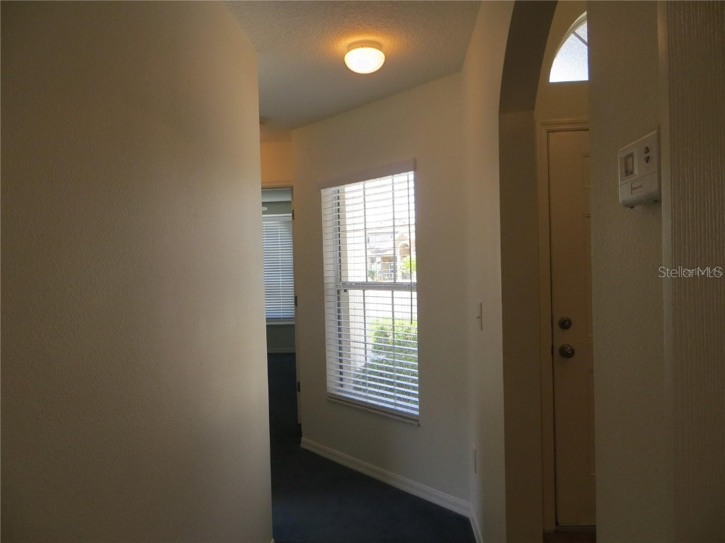 1012 Torreya Way Odessa FL 33556 TB8420171 image39