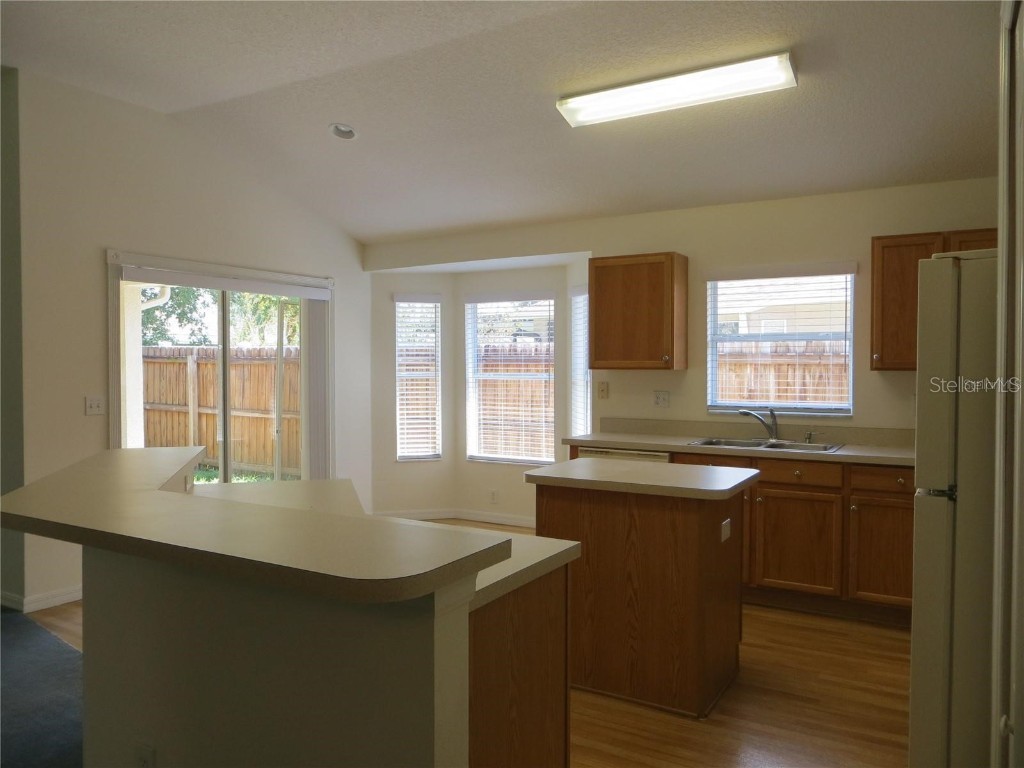 1012 Torreya Way Odessa FL 33556 TB8420171 image6