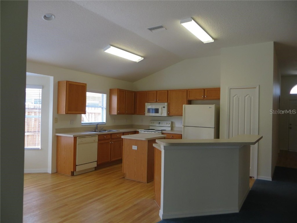 1012 Torreya Way Odessa FL 33556 TB8420171 image7