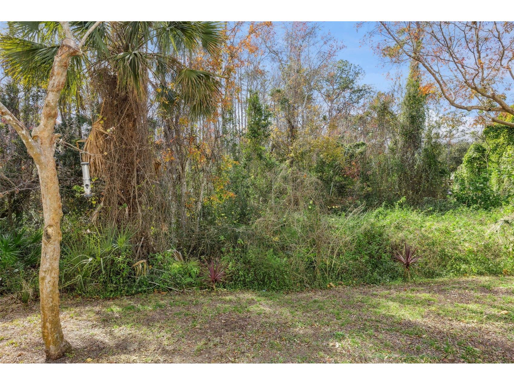 1012 Waterside Drive Celebration FL 34747 S5142520 image43