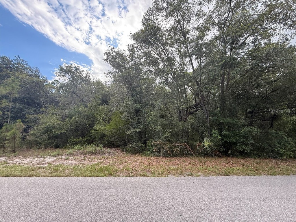 1012 Wildflower Street Lake Placid FL 33852 OK225317 image1