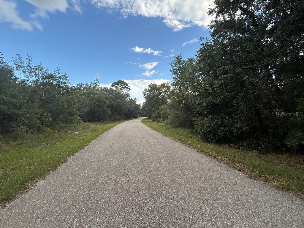 1012 Wildflower Street Lake Placid FL 33852 OK225317 image10