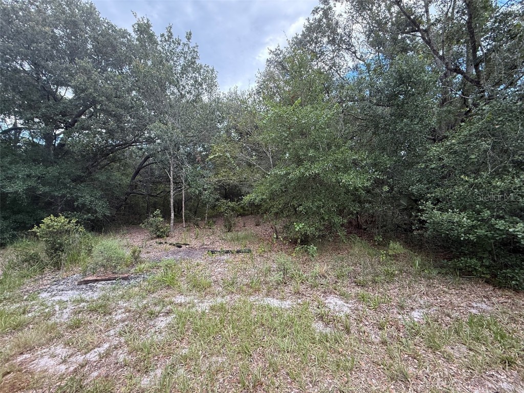 1012 Wildflower Street Lake Placid FL 33852 OK225317 image11