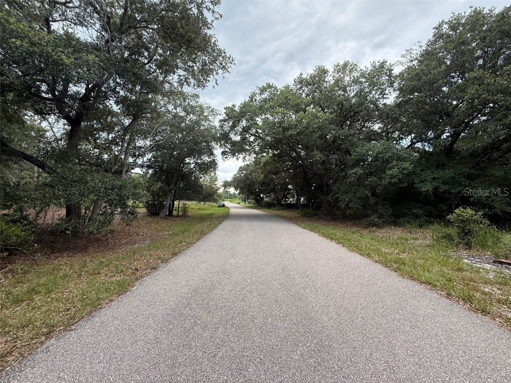 1012 Wildflower Street Lake Placid FL 33852 OK225317 image12