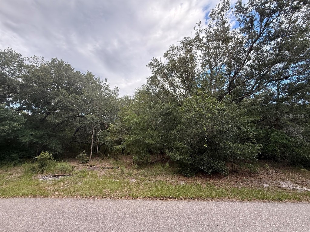 1012 Wildflower Street Lake Placid FL 33852 OK225317 image13