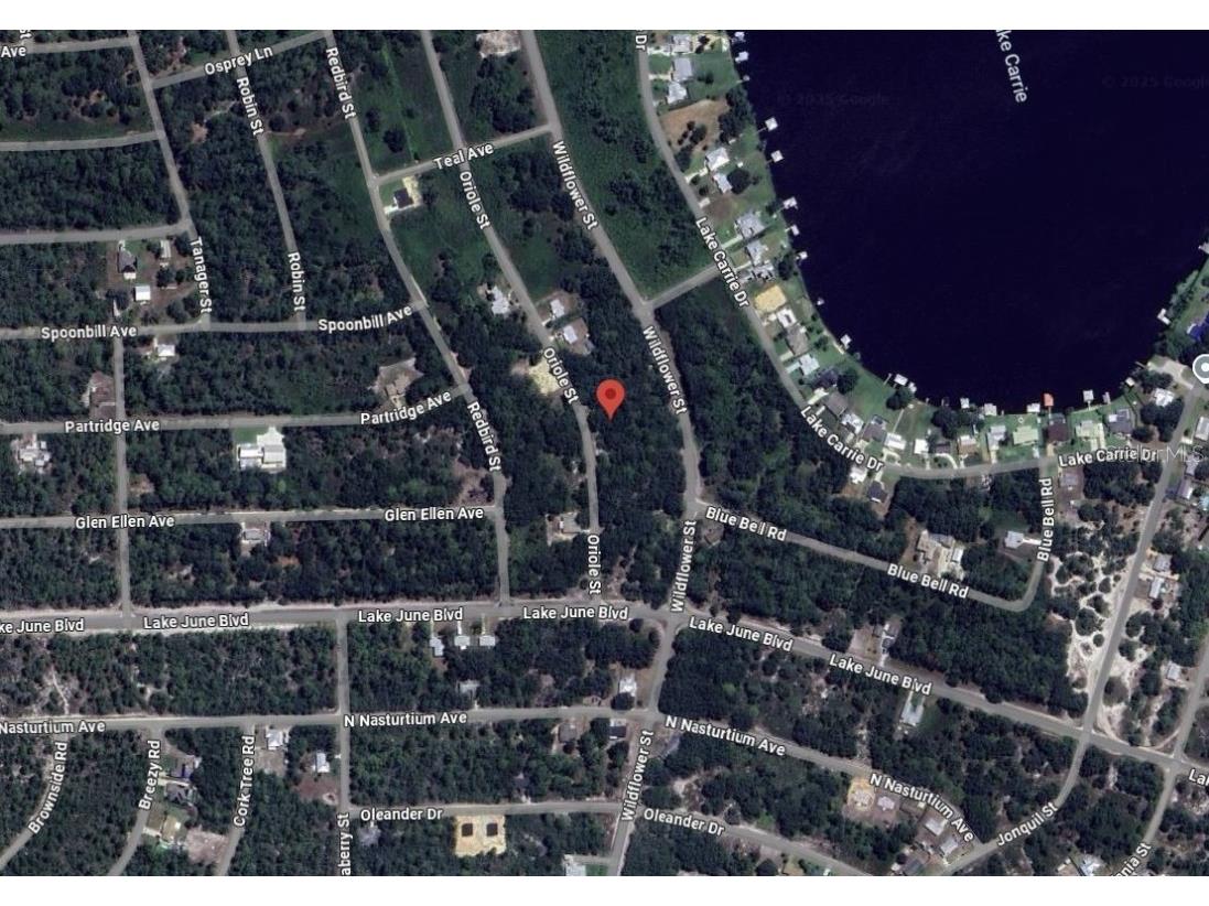 1012 Wildflower Street Lake Placid FL 33852 OK225317 image2